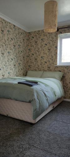 Toad Hall Hostel in Machynlleth Toad Hall Hostel in Machynlleth