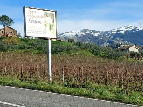 La Loggetta di Apricus in Olevano Romano La Loggetta di Apricus in Olevano Romano
