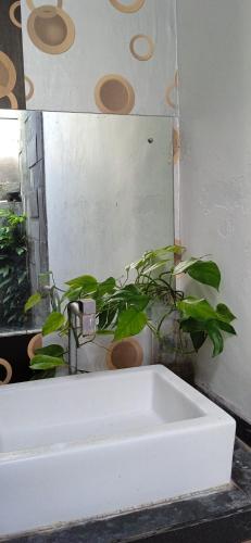 Bathroom, Suburdi Guest House in Praya Bathroom, Suburdi Guest House in Praya