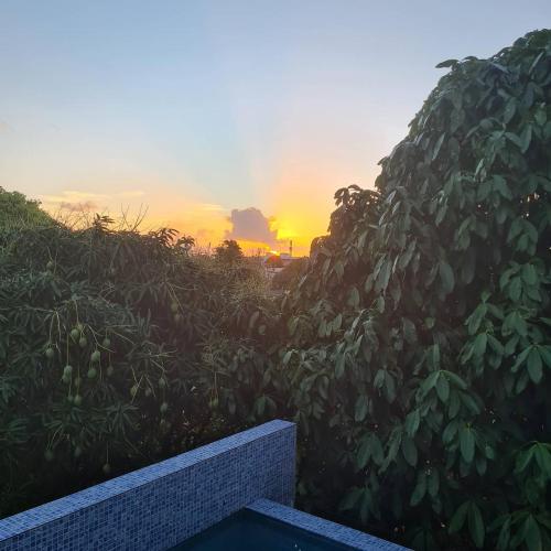 Galinha d'Angola in Porto de Galinhas Galinha d'Angola in Porto de Galinhas