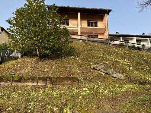 Green View Apartments in Tenero-Contra Green View Apartments in Tenero-Contra