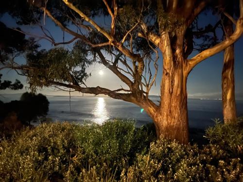 Beachside Taroona with Spa in Kingston Beachside Taroona with Spa in Kingston