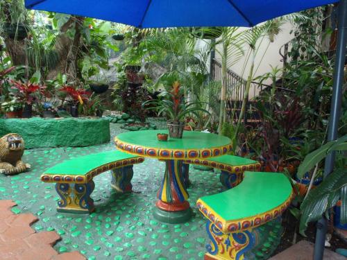 Garden, CASA LIMA BED & BREAKFAST in Mata Redonda Garden, CASA LIMA BED & BREAKFAST in Mata Redonda