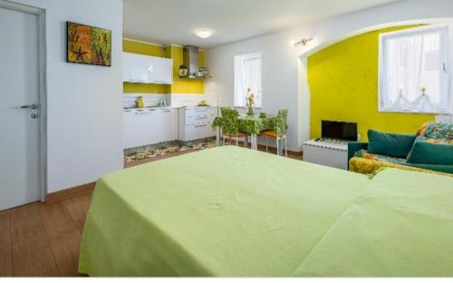 Green Day in Novigrad Green Day in Novigrad