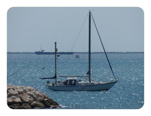 This photo about La Mediterranee shared on HyHotel.com