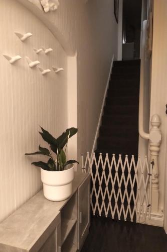 ردهة, Budget Single Room in Bloomfield ردهة, Budget Single Room in Bloomfield