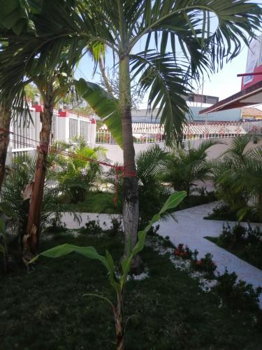RECIDENCIAL MIGNOLI in Boca Chica RECIDENCIAL MIGNOLI in Boca Chica