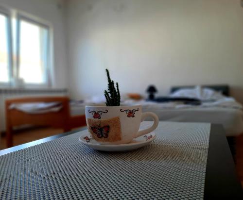 Guest House Gina in Ohrid sentrum Guest House Gina in Ohrid sentrum
