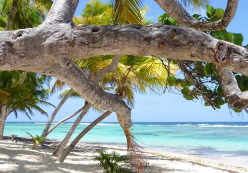 View, Appartement charmant a Capesterre-de-Marie-Galante, vue sur mer in Capesterre-de-Marie-Galante View, Appartement charmant a Capesterre-de-Marie-Galante, vue sur mer in Capesterre-de-Marie-Galante