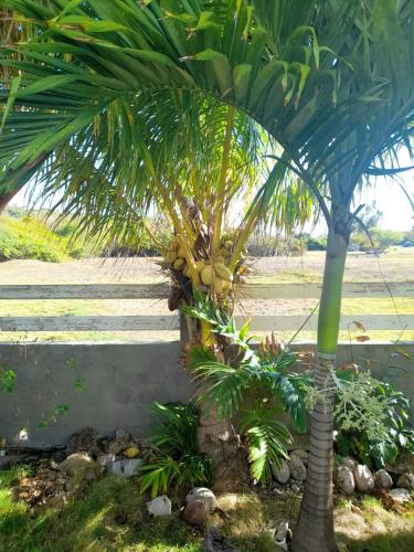 Garden, Appartement au bord de mer a Capesterre-de-Marie-Galante, 60 m² in Capesterre-de-Marie-Galante Garden, Appartement au bord de mer a Capesterre-de-Marie-Galante, 60 m² in Capesterre-de-Marie-Galante