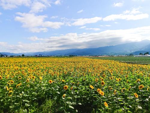 梅果明諾玉旅館 (Meguminoyu) near 麓鄉展望台 梅果明諾玉旅館 (Meguminoyu) near 麓鄉展望台