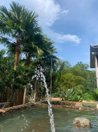 Swimming pool, RIVERSIDE PALM INN SG LEMBING in Sungai Lembing Swimming pool, RIVERSIDE PALM INN SG LEMBING in Sungai Lembing