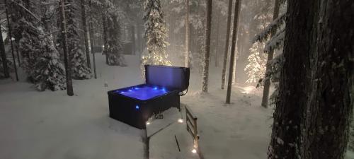 Levillenet Bearlodge at Levi city centre