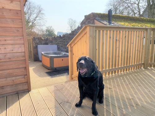 Balcony/terrace, Pheasant Lodge with Hot Tub in Forgandenny Balcony/terrace, Pheasant Lodge with Hot Tub in Forgandenny