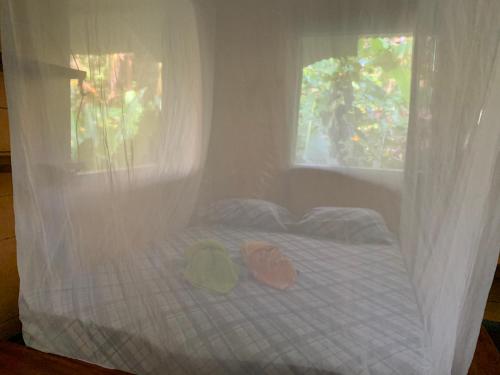 Beach house (2-4 people) in Литтл-Корн-Айленд Beach house (2-4 people) in Литтл-Корн-Айленд