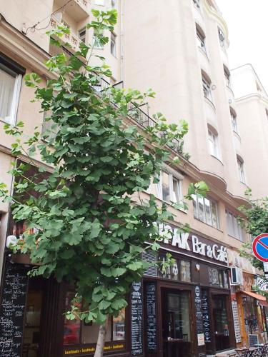 This photo about Budapest Royal Suites II. shared on HyHotel.com