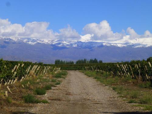 This photo about Casa de Huespedes La Azul shared on HyHotel.com