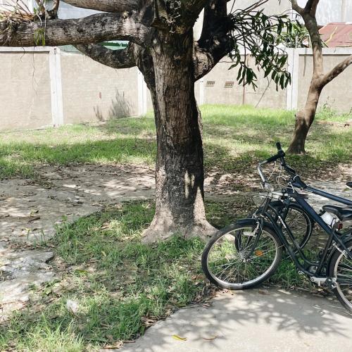 山蒔旁白-全台唯一電力公司49年老宿舍改造 in Yujing District 山蒔旁白-全台唯一電力公司49年老宿舍改造 in Yujing District