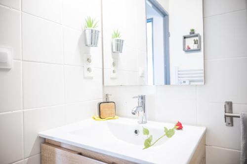 Baño, LENA STUDIO1-50M PLAGE-PORT-CENTRE VILLE-WIFI- La Grande Motte in La Grande Motte Baño, LENA STUDIO1-50M PLAGE-PORT-CENTRE VILLE-WIFI- La Grande Motte in La Grande Motte