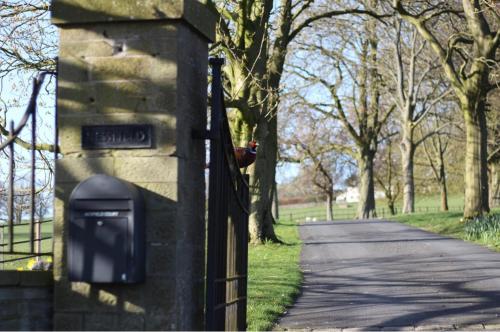 Spacious and bright 1 - bedroom rental unit in Ilkley Spacious and bright 1 - bedroom rental unit in Ilkley