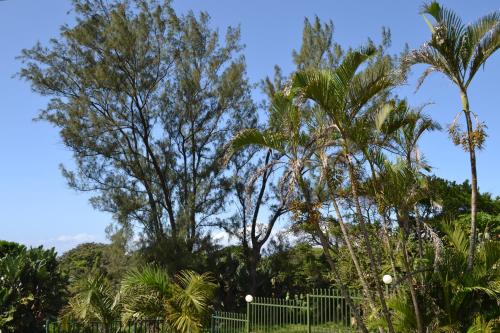 Palmtree place - Stylish self catering unit in Umkomaas Palmtree place - Stylish self catering unit in Umkomaas