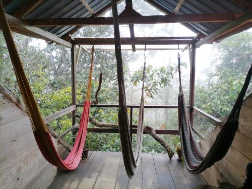 شرفة/ تراس, Paraiso Verde in Coban شرفة/ تراس, Paraiso Verde in Coban