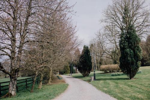 tuin, Noan Country House B&B in Cashel tuin, Noan Country House B&B in Cashel
