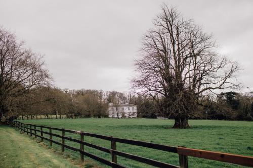 Omgeving, Noan Country House B&B in Cashel Omgeving, Noan Country House B&B in Cashel
