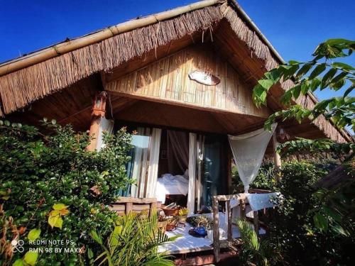 3 Pok Maewang jinxiang Gold elephant park in Doi Inthanon 3 Pok Maewang jinxiang Gold elephant park in Doi Inthanon