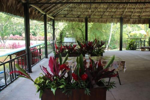 Restoran, Villa Amanda Resort in San Juan La Laguna Restoran, Villa Amanda Resort in San Juan La Laguna