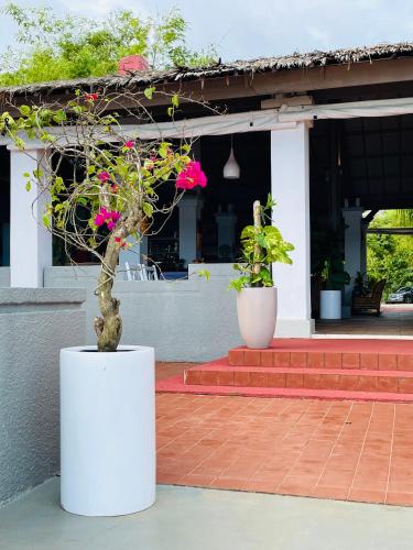 African Queen Lodge in Assinie African Queen Lodge in Assinie