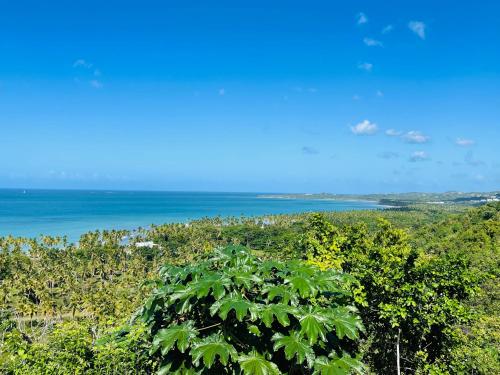 Villa Tortuga, Guest house Private bungalow, private pool in Cano Seco Villa Tortuga, Guest house Private bungalow, private pool in Cano Seco