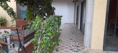 מתקני המלון, Saly LRAD Le village in סינטיאן מתקני המלון, Saly LRAD Le village in סינטיאן