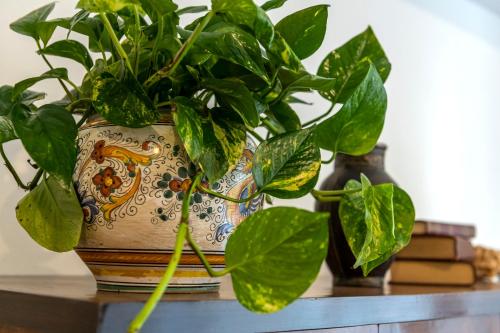 المرافق, Il Nido del Belocchio in بقرب المركز المرافق, Il Nido del Belocchio in بقرب المركز