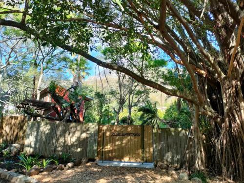 ZenCapeTown Forest Retreat