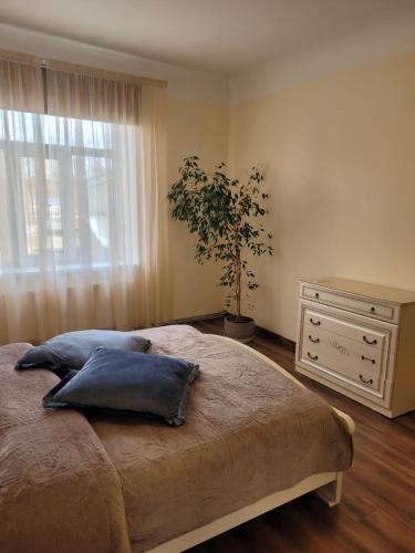 Talsi 2 rooms and backyard in Talsi Talsi 2 rooms and backyard in Talsi