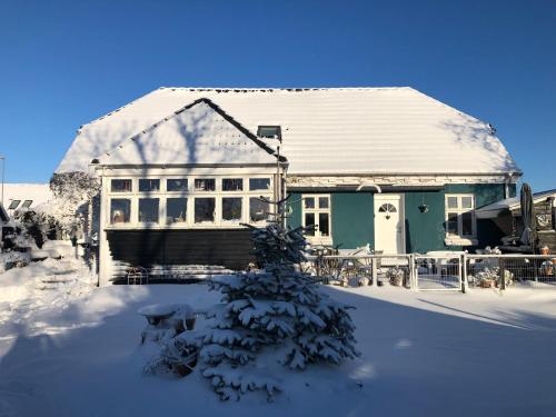 Det blagrønne Hus in Hals Det blagrønne Hus in Hals