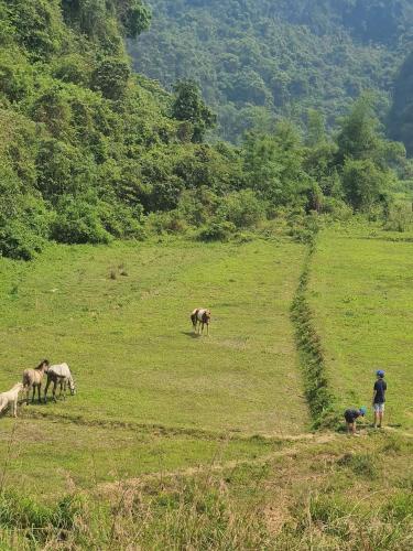Homestay Huong Buoi in Lang Son Homestay Huong Buoi in Lang Son