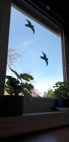 Frisch renoviert, Terrasse mit Blick ins Grune - Into The Green EG in Neustadt an der Aisch Frisch renoviert, Terrasse mit Blick ins Grune - Into The Green EG in Neustadt an der Aisch