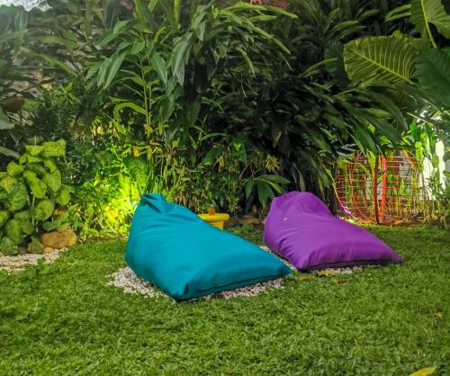 Garden, Snooze Hostel Ijen in Banyuwangi Garden, Snooze Hostel Ijen in Banyuwangi