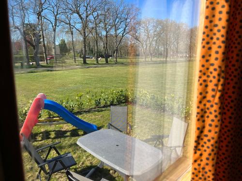 View, Pipowagen voor 4 personen in Westerveld View, Pipowagen voor 4 personen in Westerveld