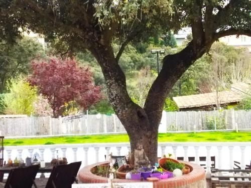 Jardín, Lovely home nearby Madrid to enjoy nature in Villaviciosa de Odon Jardín, Lovely home nearby Madrid to enjoy nature in Villaviciosa de Odon