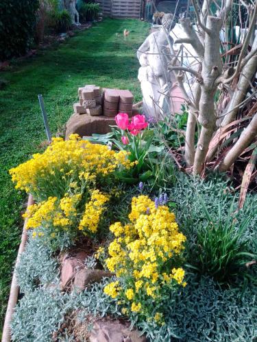 Kert, Apartment Meyerhof in Schwanau Kert, Apartment Meyerhof in Schwanau