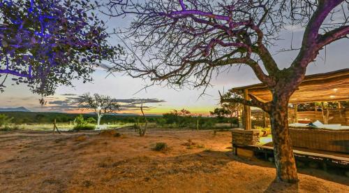 外部景觀, Imagine Africa Luxury Tented Camp in 胡德斯普瑞特 外部景觀, Imagine Africa Luxury Tented Camp in 胡德斯普瑞特