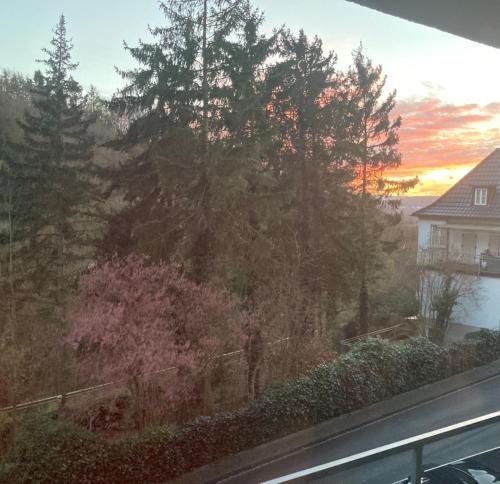 Großzügiges Zimmer mit Terrasse am Rheinsteig (Großzugiges Zimmer mit Terrasse am Rheinsteig) in Linz am Rhein Großzügiges Zimmer mit Terrasse am Rheinsteig (Großzugiges Zimmer mit Terrasse am Rheinsteig) in Linz am Rhein