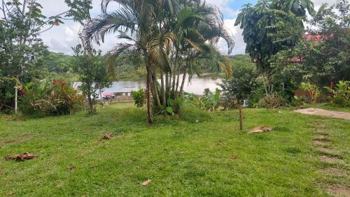 lupuna jungle tours and expeditions in Indiana lupuna jungle tours and expeditions in Indiana