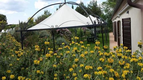 This photo about Il Canto del Sole shared on HyHotel.com