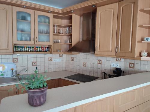 LARIX Apartman in Tizenharom Varos LARIX Apartman in Tizenharom Varos