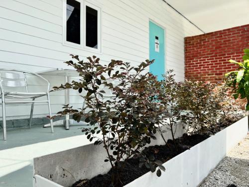 شرفة/ تراس, Bertam Cottage Penang in كيبالا باتاس شرفة/ تراس, Bertam Cottage Penang in كيبالا باتاس