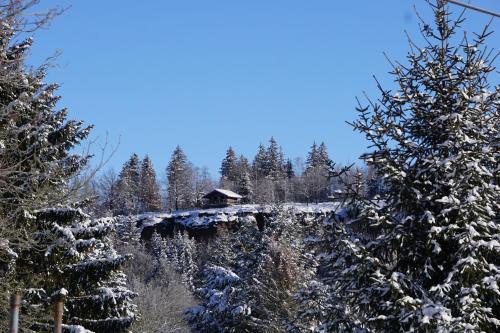 Alrededores, Wanderlust - Thüringer Wald, Rennsteig, Finsterbergen (Wanderlust - Thuringer Wald, Rennsteig, Finsterbergen) in Friedrichroda Alrededores, Wanderlust - Thüringer Wald, Rennsteig, Finsterbergen (Wanderlust - Thuringer Wald, Rennsteig, Finsterbergen) in Friedrichroda